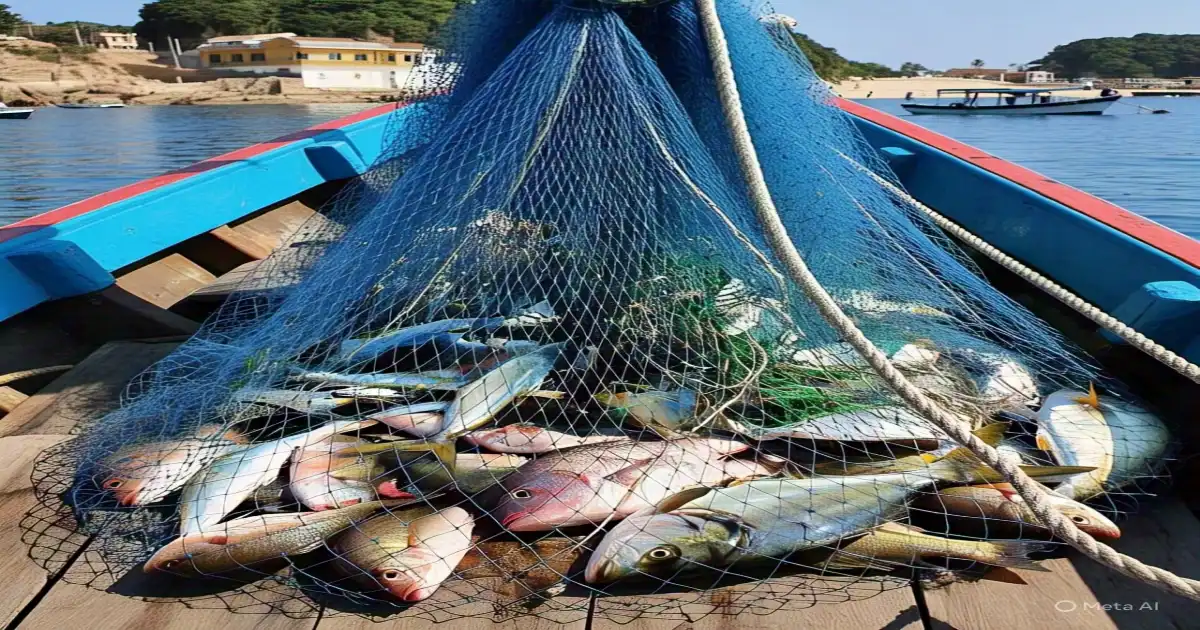 ImgResizer 20250508 1146 50995.webp