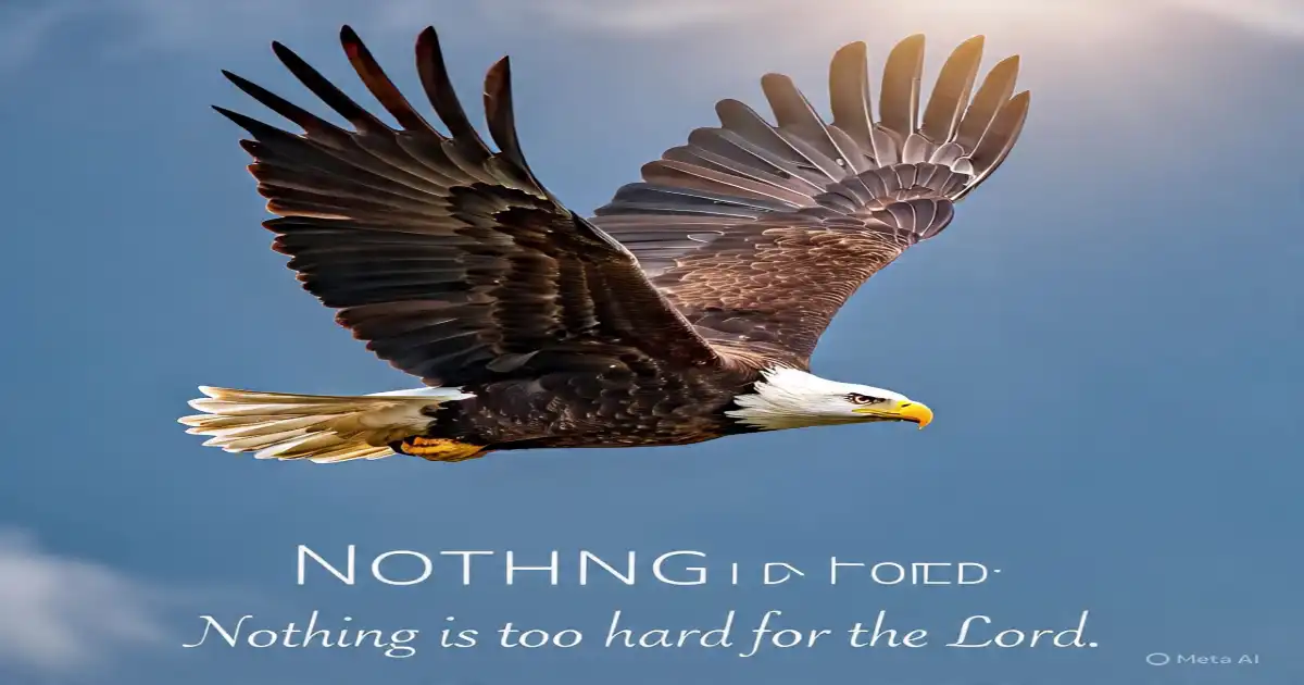 ImgResizer 20250604 0509 41783.webp